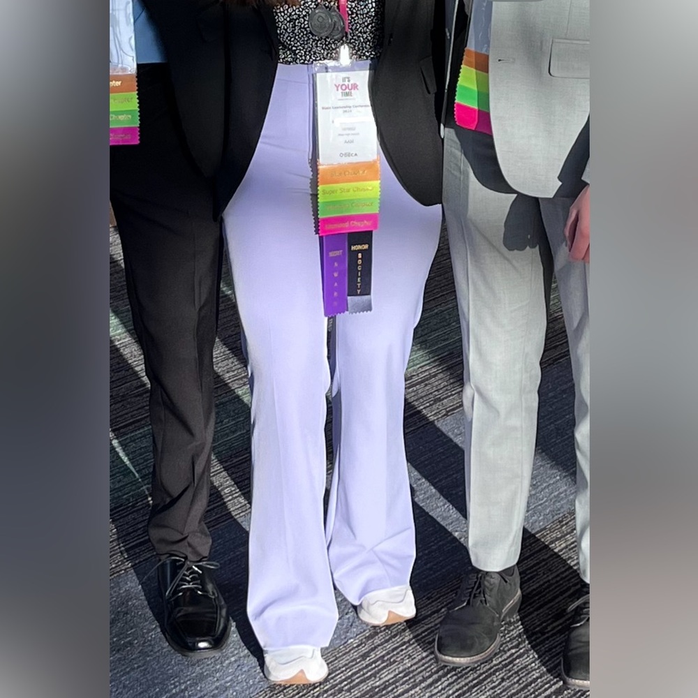 BANANA REPUBLIC NWT Flared Dress Pants